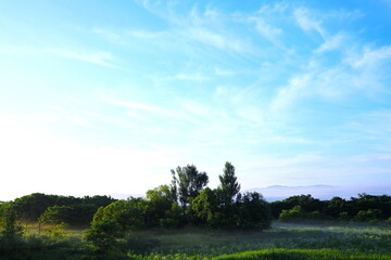 緑と青空のある美しい風景
