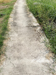 cement road with green grass