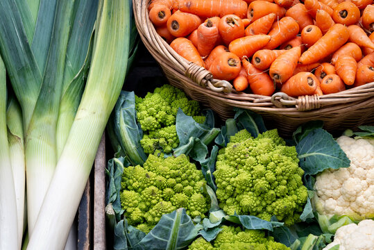 Fresh vegetables: leeks, carrots, romanesco and cauliflowers