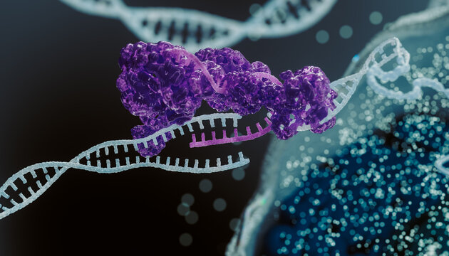 3D Biomedicine scene with  DNA helix 