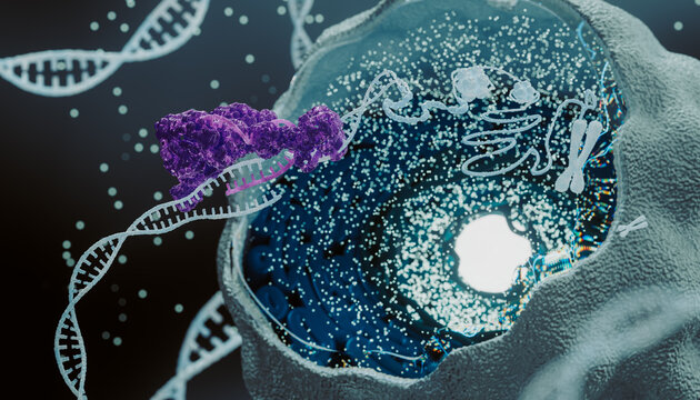 3D Biomedicine scene with  DNA helix 
