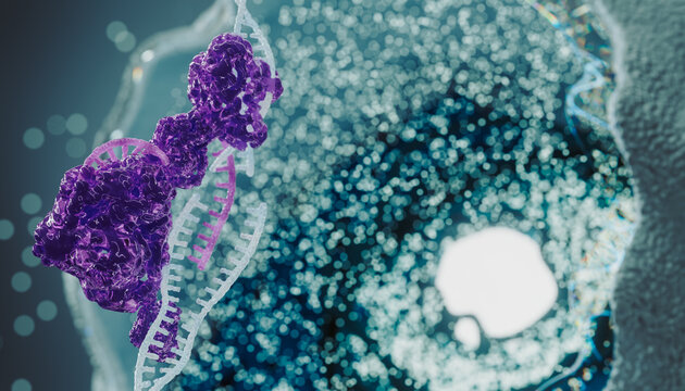 3D Biomedicine scene with  DNA helix 