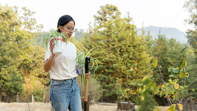 Woman strolls through her garden carrying a shovel and spider plants