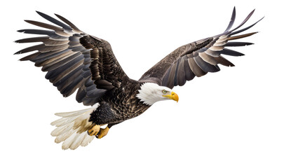 Naklejka premium A bald eagle flying over an American flag on a transparent background.