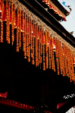 nepalese monkey jumping from a temple roof