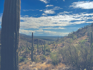 Tanque Verde, Arizona
