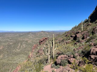 Tanque Verde, Arizona