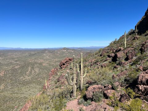 Tanque Verde, Arizona
