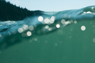 Shimmering water with forest backdrop