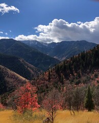 Logan Canyon