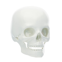 Obraz premium 3D The skull frame protects the brain. 3D Icon