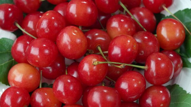 Close up shot Red Cherry fruit on wooden background, Japanese Red highest variety of Yamagata cherries on white table.