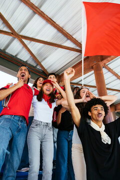 Ecstatic sports fans cheering at a game