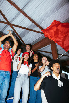 Ecstatic sports fans cheering in the stands