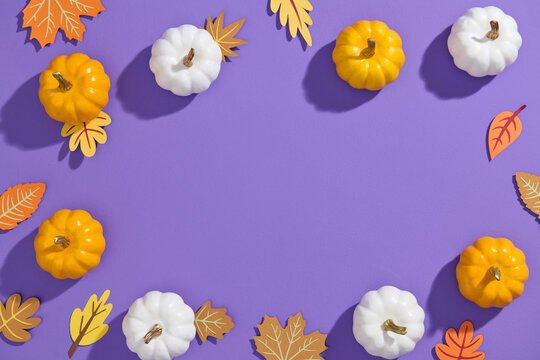  Vibrant pumpkins and leaves against a purple background