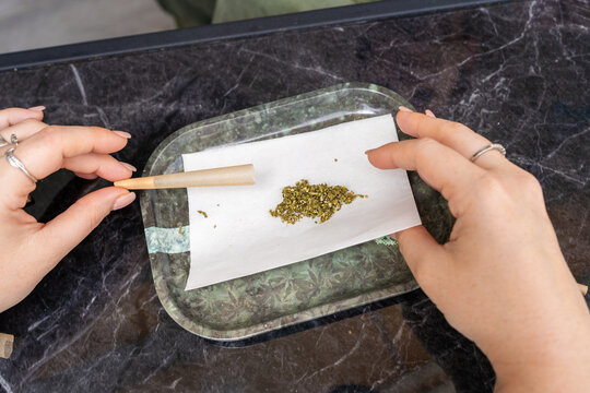 Filling a Pre-Roll. Young Woman Preparing A Cannabis Joint On Tray