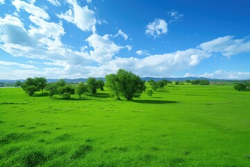 Obraz premium Expansive Green Field with Blue Skies and Scattered Trees