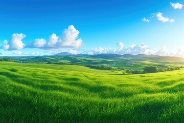 Obraz premium Rolling Green Hills Under a Blue Sky