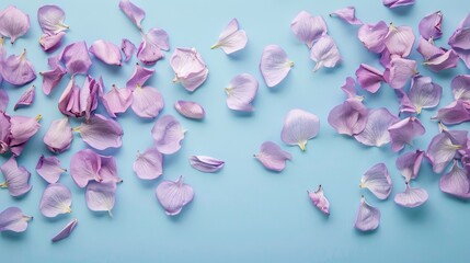 Obraz premium Top view of lilac flower petals on a pastel blue background with space for design in a minimalist style