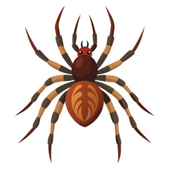 Illustration of big brown spider on white