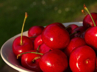 Zbliżenie na owoce czereśni