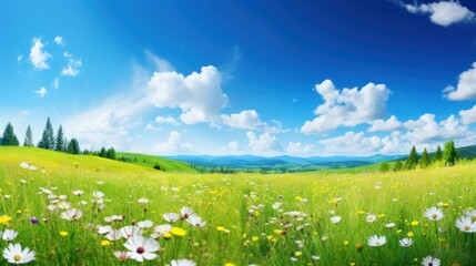 green meadow with colorful wildflowers 