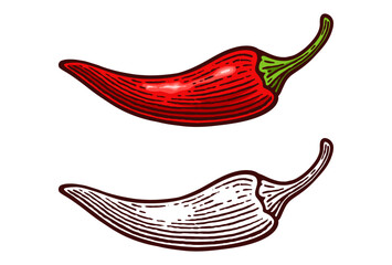 Hand Drawn Chili Pepper, Line Art Engraving Style Vector Illustration, Monochrome and Color Versions