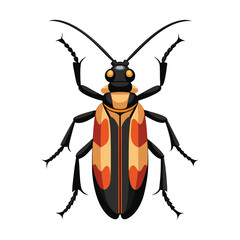 illustration of longhorn beetle insect on white