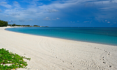 Bahamas Beach