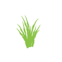 grunge green grass brush