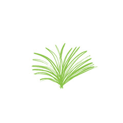 grunge green grass brush