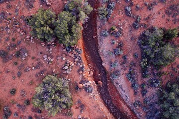 River and shrubs in the desert in Castle Valley, Moab, Utah, United States of America.