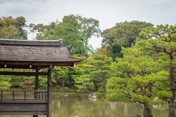 Fototapeta premium Japan
