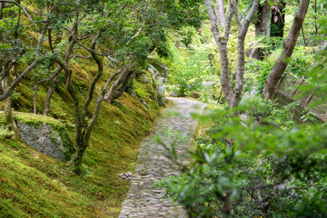 Fototapeta premium A beautifully maintained Zen garden in Japan.