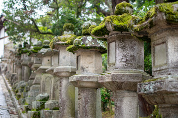 A beautifully maintained Zen garden in Japan.