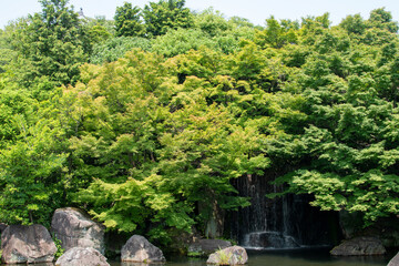 
A journey through Japan's captivating blend of tradition and modernity, showcasing ancient temples, serene gardens, vibrant cities, and rich culture.