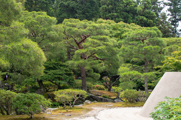 A beautifully maintained Zen garden in Japan.