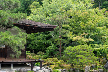 A beautifully maintained Zen garden in Japan.