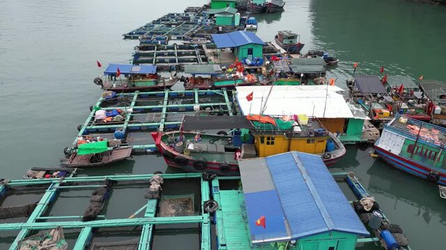 drone shot flying over floating fishing villages in Cat Ba and Halong Bay in Northern Vietnam