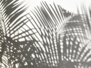 Palm Leaves Shadow on Wall Texture Background.