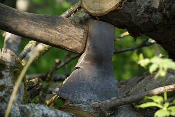Close-up of a rustic axe embedded in a tree stump in a sunny garden