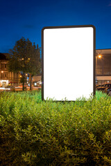 Blank Mockup Of Billboard At Night. Advertising Screen Stand In A Bush