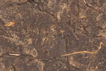 The texture of an old dirty concrete wall