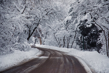 The environment of winter in the Rocky Mountains of Colorado