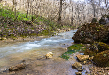 river, spring morning in a nature park, mountainous area and environment
