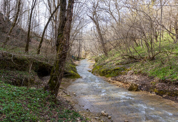 river, spring morning in a nature park, mountainous area and environment