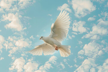 Fototapeta premium Sky funeral background with a white dove