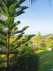 Scenic view of resort