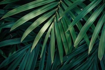 Detailed view of overlapping green palm leaves with visible texture, displaying rich foliage and natural beauty under soft light.