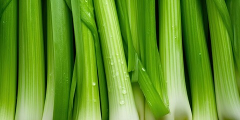 Fototapeta premium Fresh Green Celery Stalks, A close-up of fresh green pelager vegetable celery